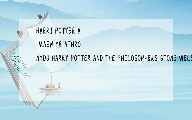 HARRI POTTER A MAEN YR ATHRONYDD HARRY POTTER AND THE PHILOSOPHERS STONE WELSH EDITION怎么样
