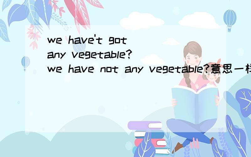 we have't got any vegetable?we have not any vegetable?意思一样吗