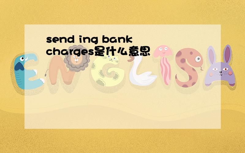 send ing bank charges是什么意思