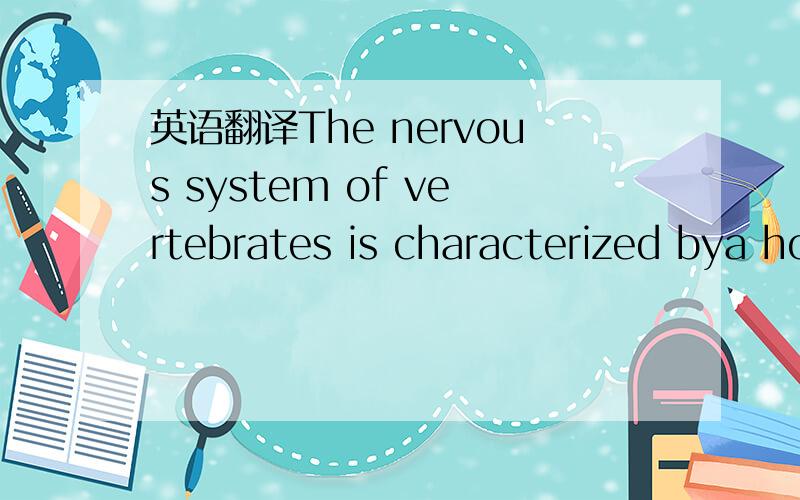 英语翻译The nervous system of vertebrates is characterized bya hollow,dorsalnerve cord thatends in the head region as an enlargement,the brain.enlargement和the brain.有什么关系吗?还有个问题就是enlargement如何翻译?翻译成扩大
