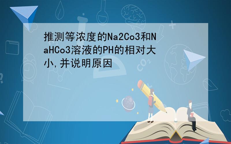 推测等浓度的Na2Co3和NaHCo3溶液的PH的相对大小,并说明原因