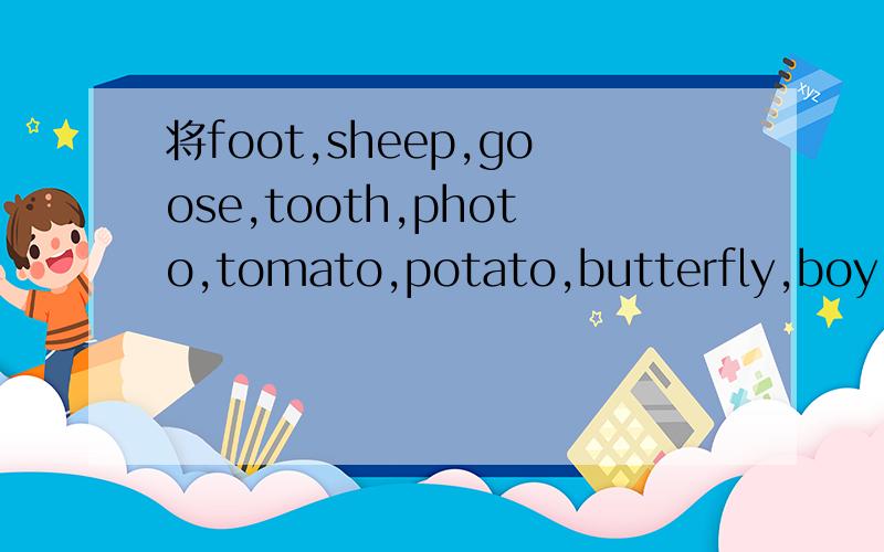 将foot,sheep,goose,tooth,photo,tomato,potato,butterfly,boy,hores,people,mouse改为复数形式